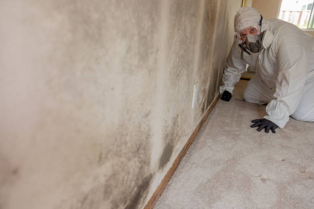 Best Residential Mold Inspection & Testing  in Chouteau, OK