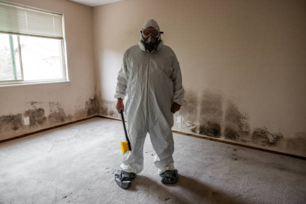 Best Mold Prevention Services  in Chouteau, OK