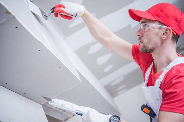 Best Mold Odor Removal Services  in Chouteau, OK